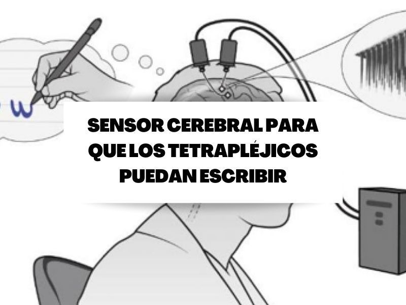 Desarrollan un sensor cerebral que permite a tetrapléjicos ‘escribir a mano’